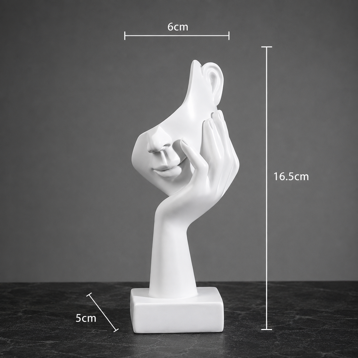 Minimalist Resin Face Sculptures