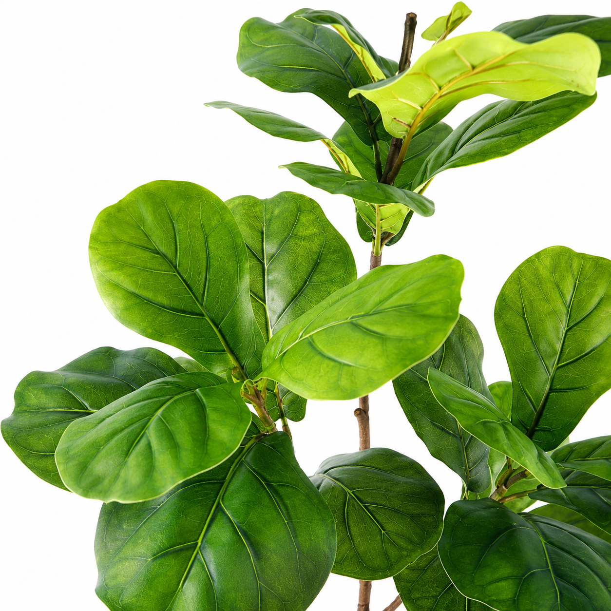 Artificial Fiddle Leaf Fig Tree