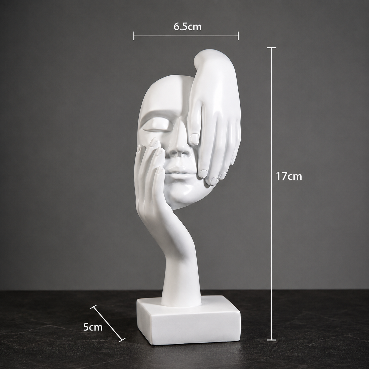 Minimalist Resin Face Sculptures