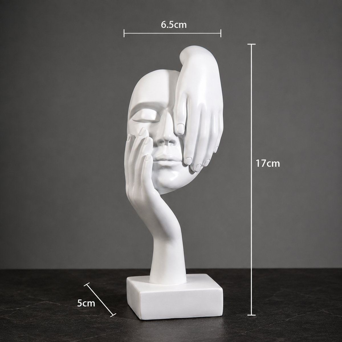 Minimalist Resin Face Sculptures
