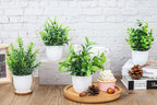Mini Faux Potted Plant